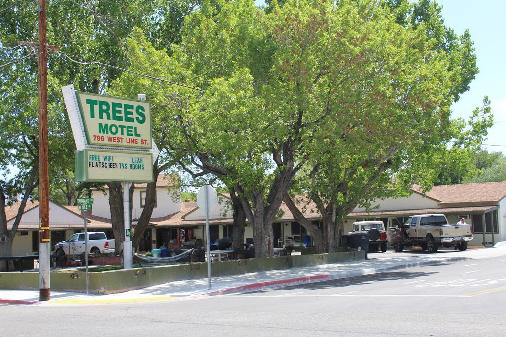 Trees Motel Bishop Ngoại thất bức ảnh