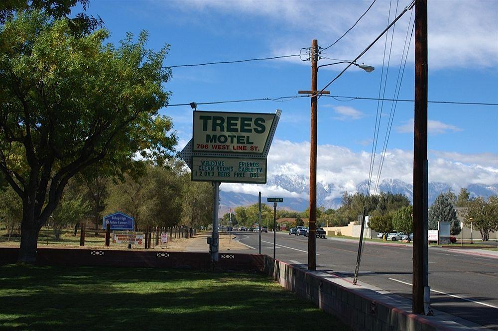 Trees Motel Bishop Ngoại thất bức ảnh